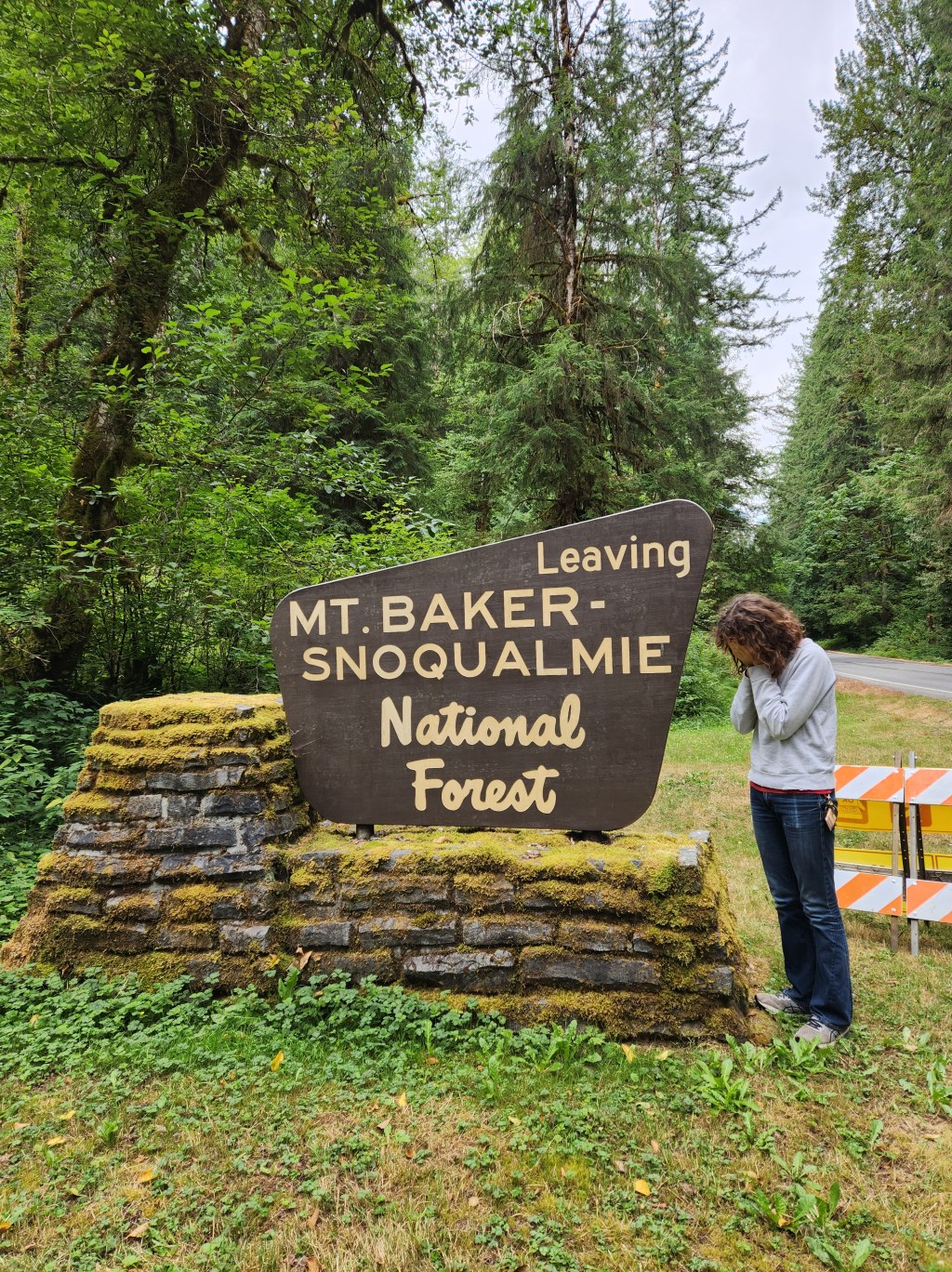 Trees of green, red roses&nbsp;too