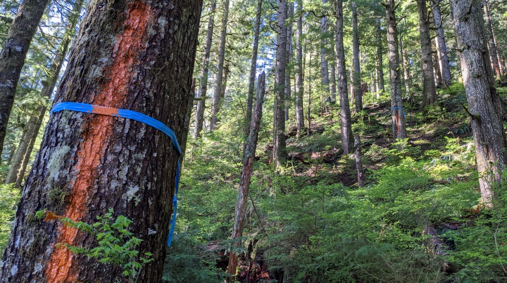 Painting the Town&nbsp;Orange