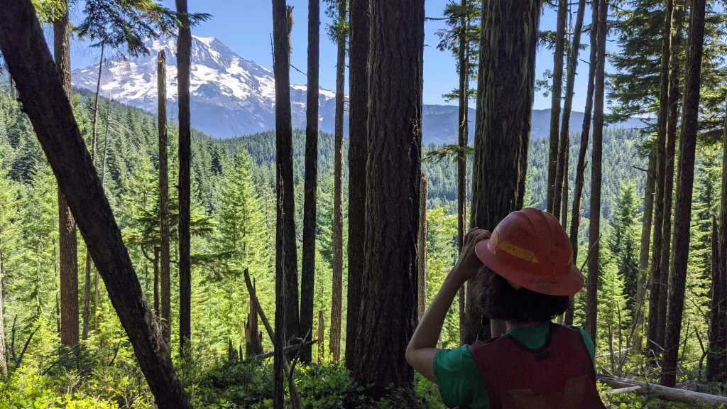 Where I’m Bound, I Can’t Tell